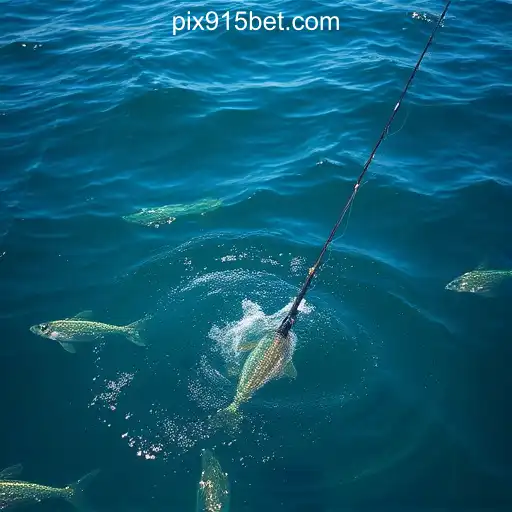 915bet.com platform-online Slots Brasil #1-BONUS6